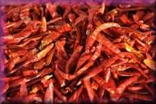 Pepers